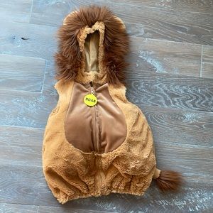 Cutest little lion costume 24m